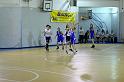 Basket 242016